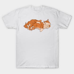 Ginger Cats Cuddly Puddle T-Shirt